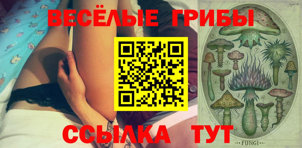 Галлюциногенные грибы MAGIC MUSHROOMS  Вход с VPN  Галлюциногенные грибы Psilocybe  Благовещенск 