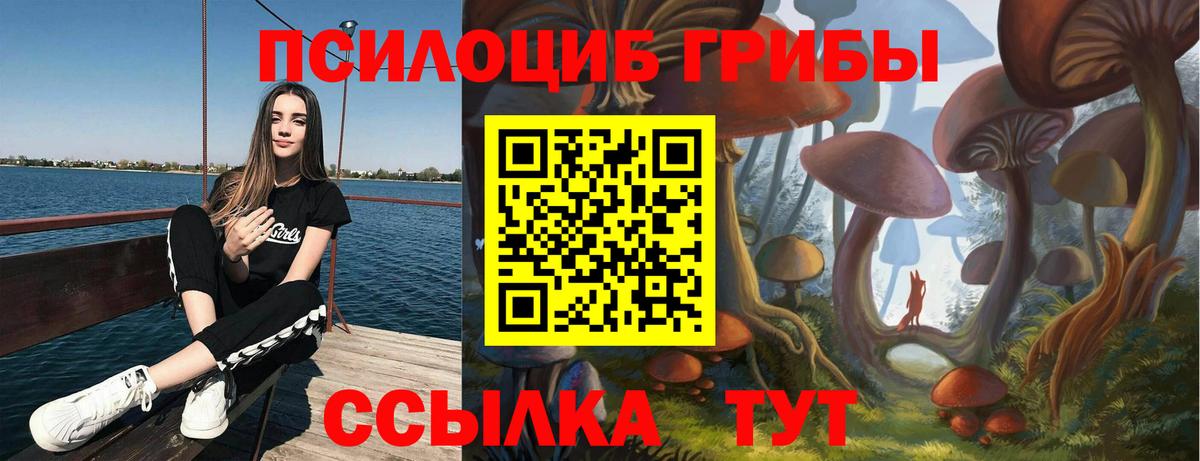 Псилоцибиновые грибы мухоморы Благовещенск